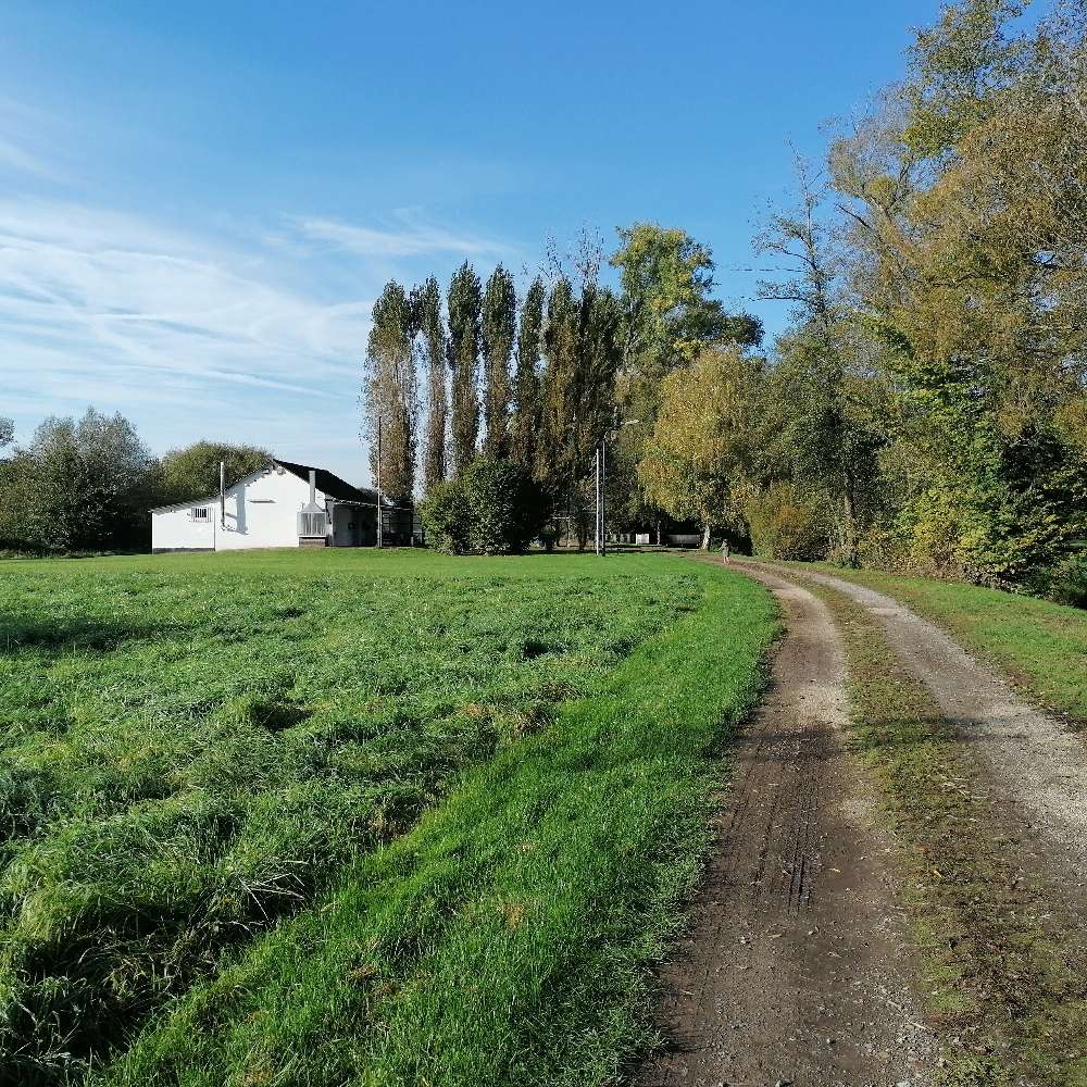 Hundetreffen-Gassi Runde in Berg-Profilbild