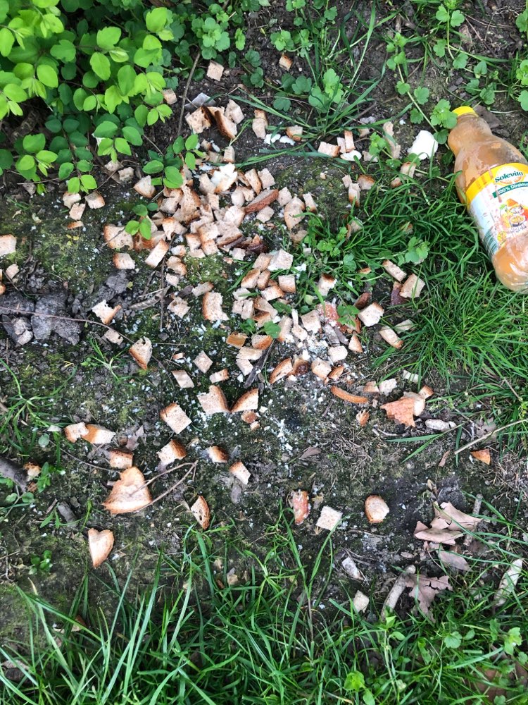 Giftköder-Gift an Bachemerstr.-Profilbild