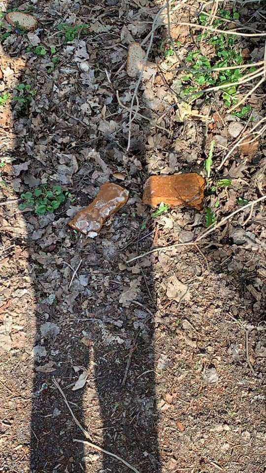 Giftköder-Giftköder-Profilbild