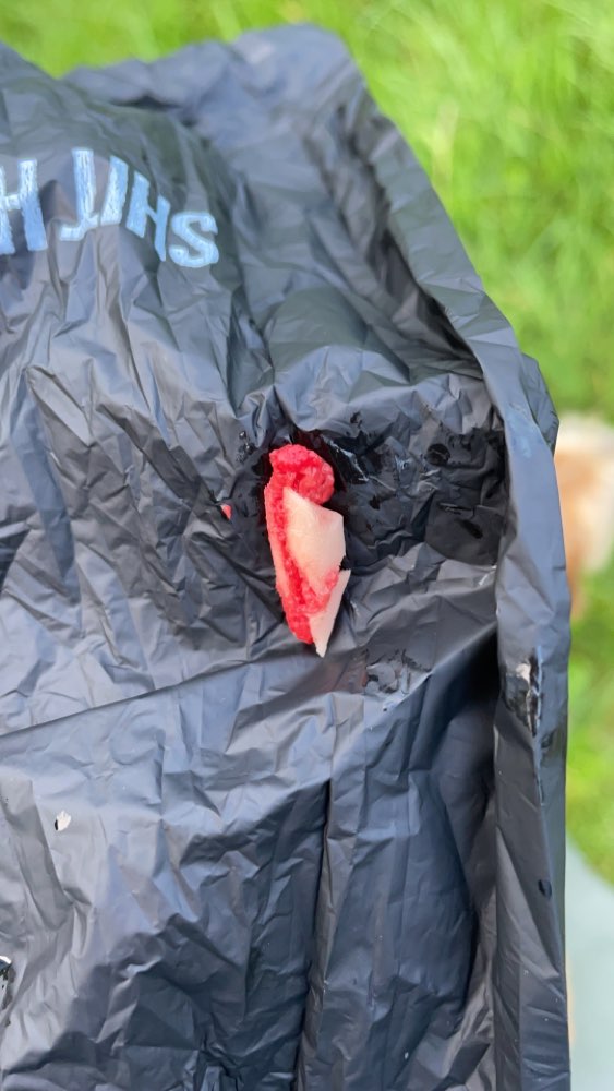 Giftköder-Möglicher Giftköder-Profilbild