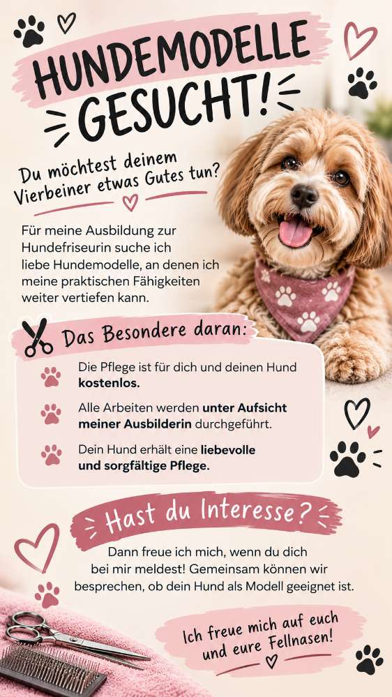 Hundetreffen-Hundemodelle gesucht-Profilbild