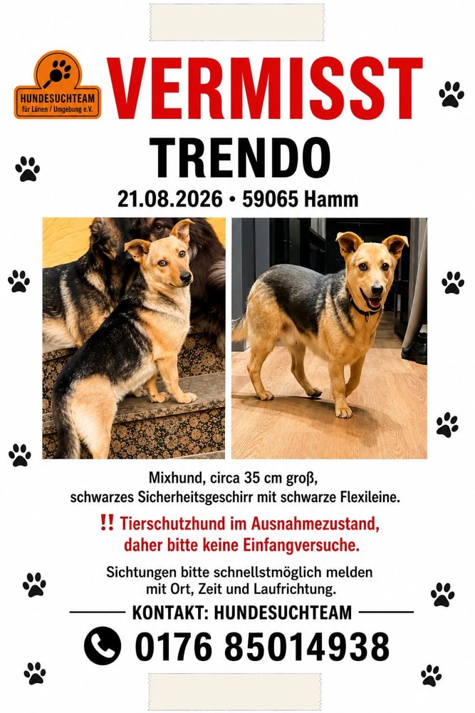 Suchmeldung-Trendo-Profilbild