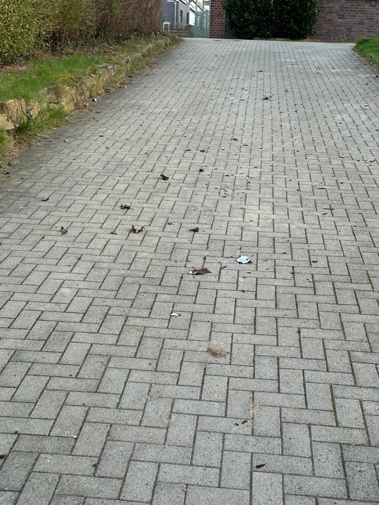 Giftköder-Viel Glas und Splitter-Profilbild