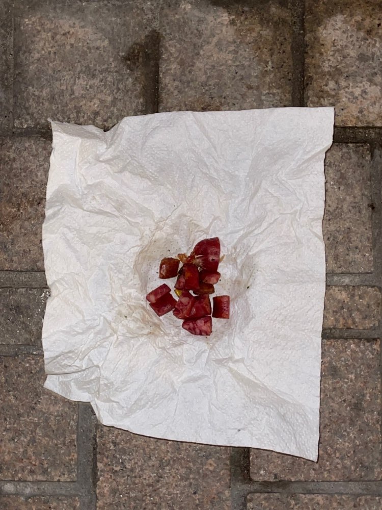 Giftköder-Achtung !!Eventuell ausgelegte Giftköder-Profilbild