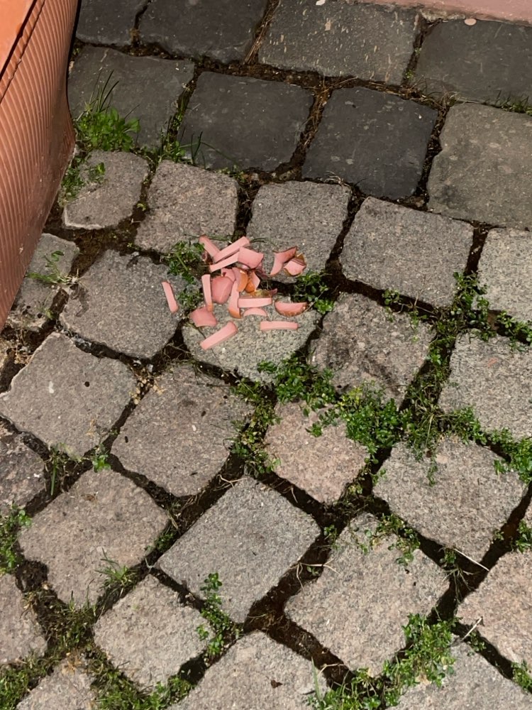 Giftköder-Erneut evtl. Giftköder-Profilbild