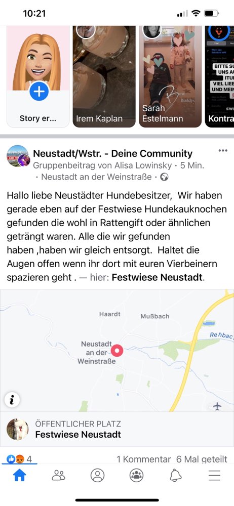Giftköder-Hundekauknochen mit Rattengift-Profilbild