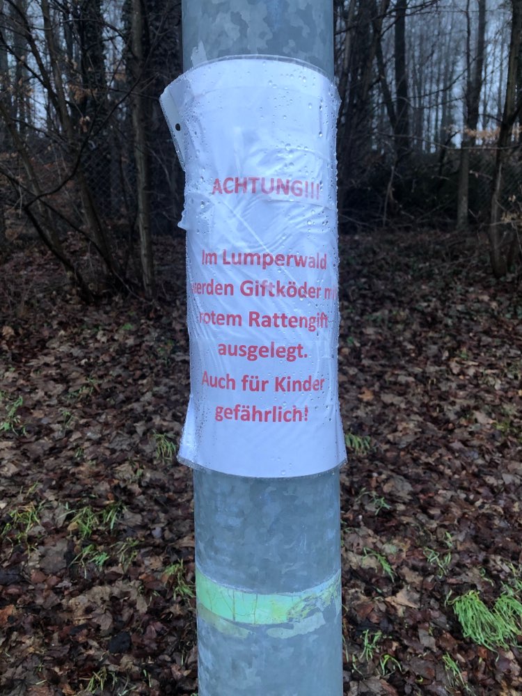 Giftköder-Rattengift im Lumperwald-Profilbild
