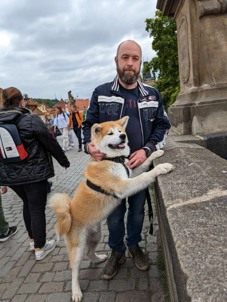 Hundetreffen-Akita sucht Spiel und Trainingspartner-Profilbild