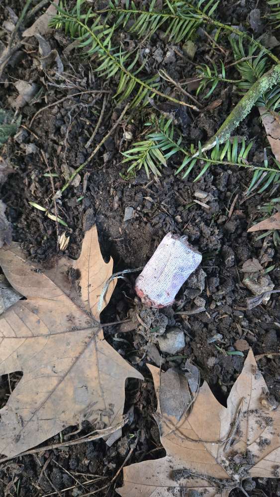 Giftköder-Giftköder Botanischer Garten !😡😡-Profilbild