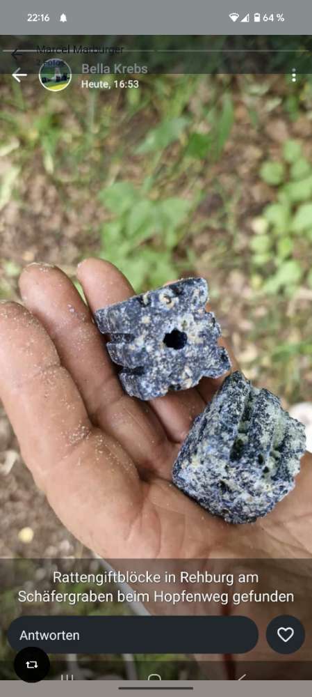 Giftköder-Rattengift-Profilbild