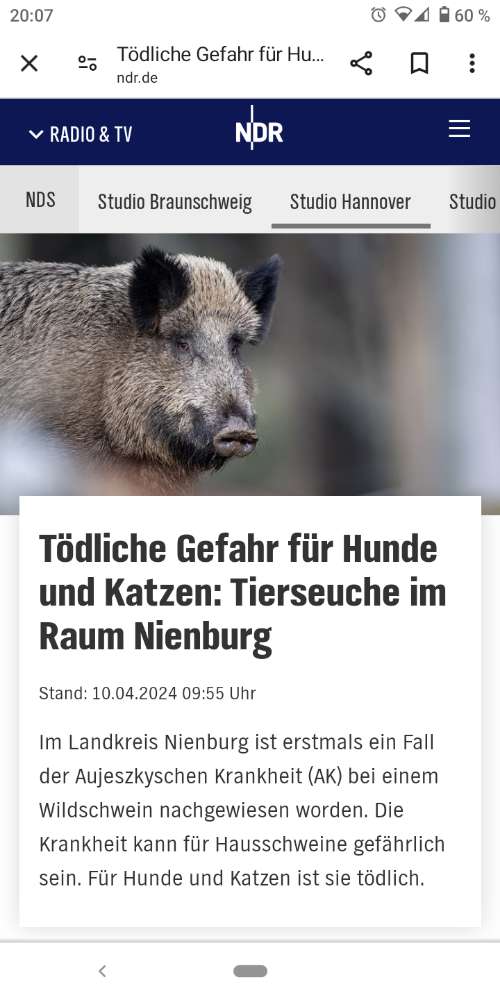 Giftköder-Ansteckende Seuche-Profilbild