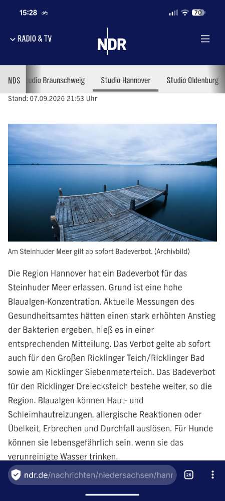 Giftköder-Blaualgen im Steinhuder Meer-Profilbild