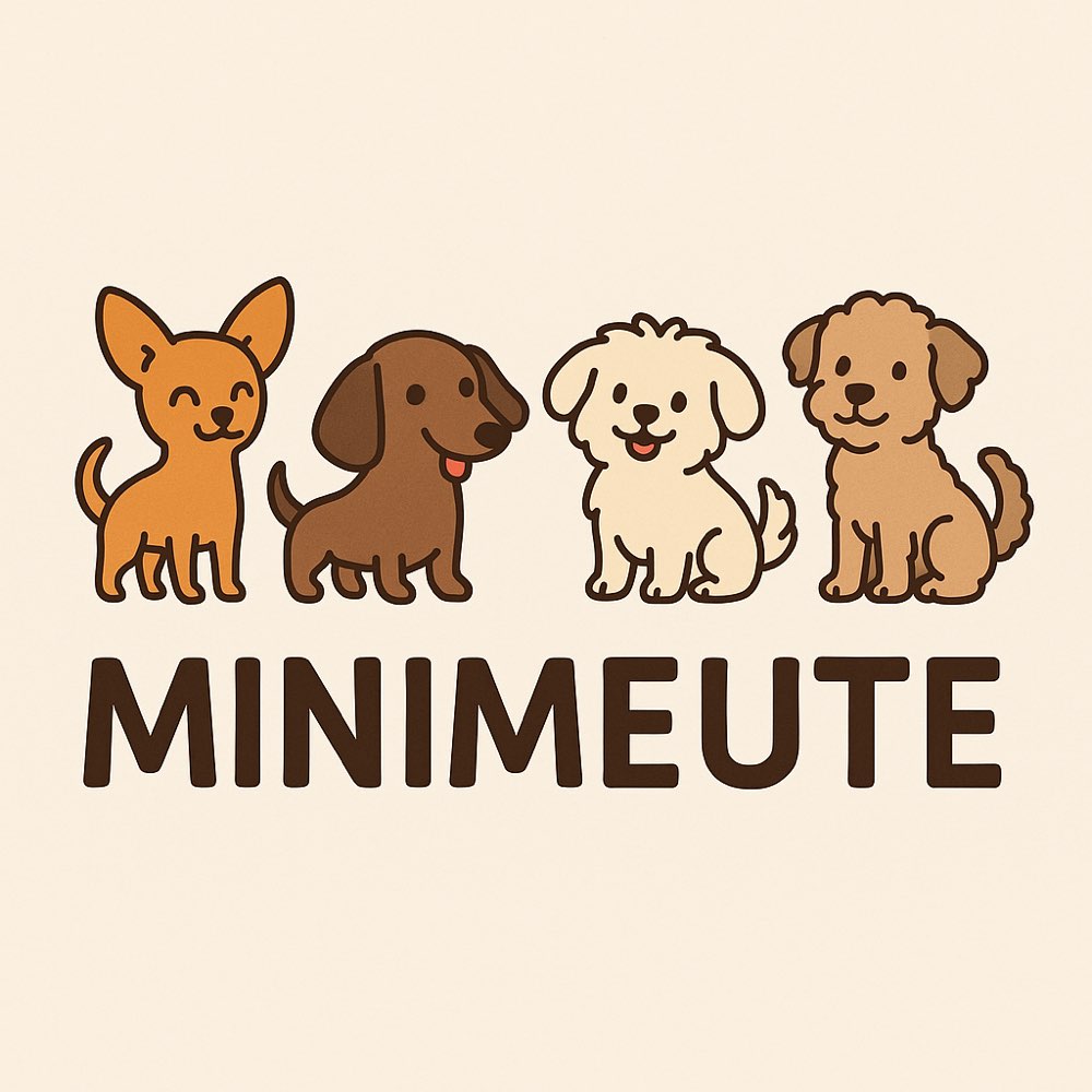 Hundetreffen-MiniMeute - (Spiel-)Treffen für kleine freundliche Hunde-Profilbild