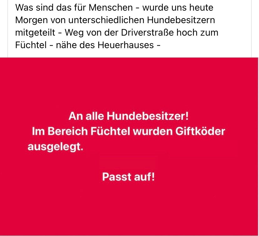 Giftköder-Giftköder im Bereich Füchtel-Profilbild