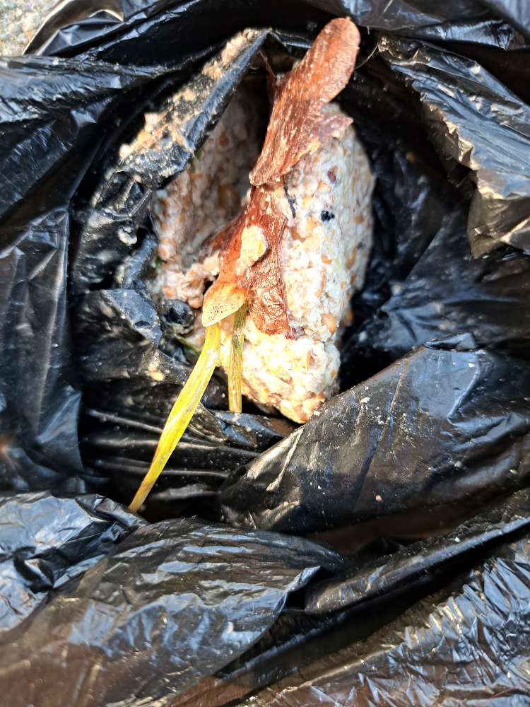 Giftköder-Möglicher Giftköder-Profilbild