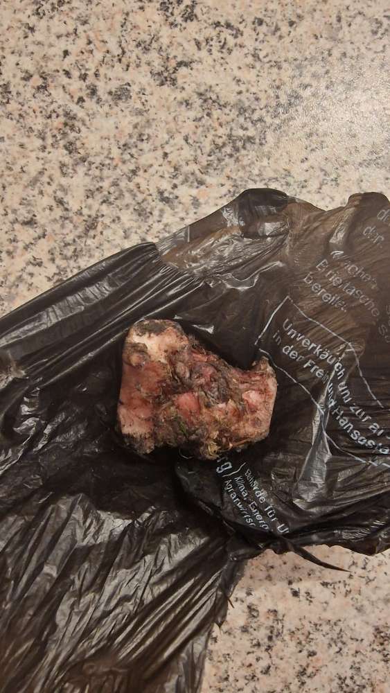 Giftköder-Knochenfund-Profilbild