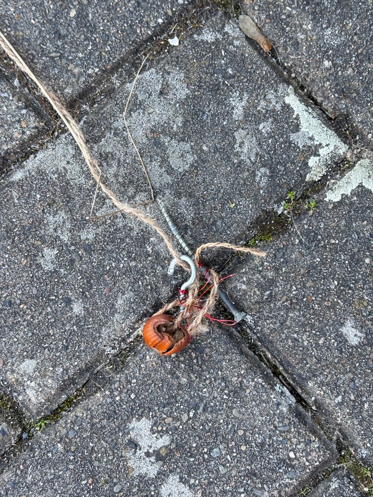 Giftköder-Giftköder-Profilbild