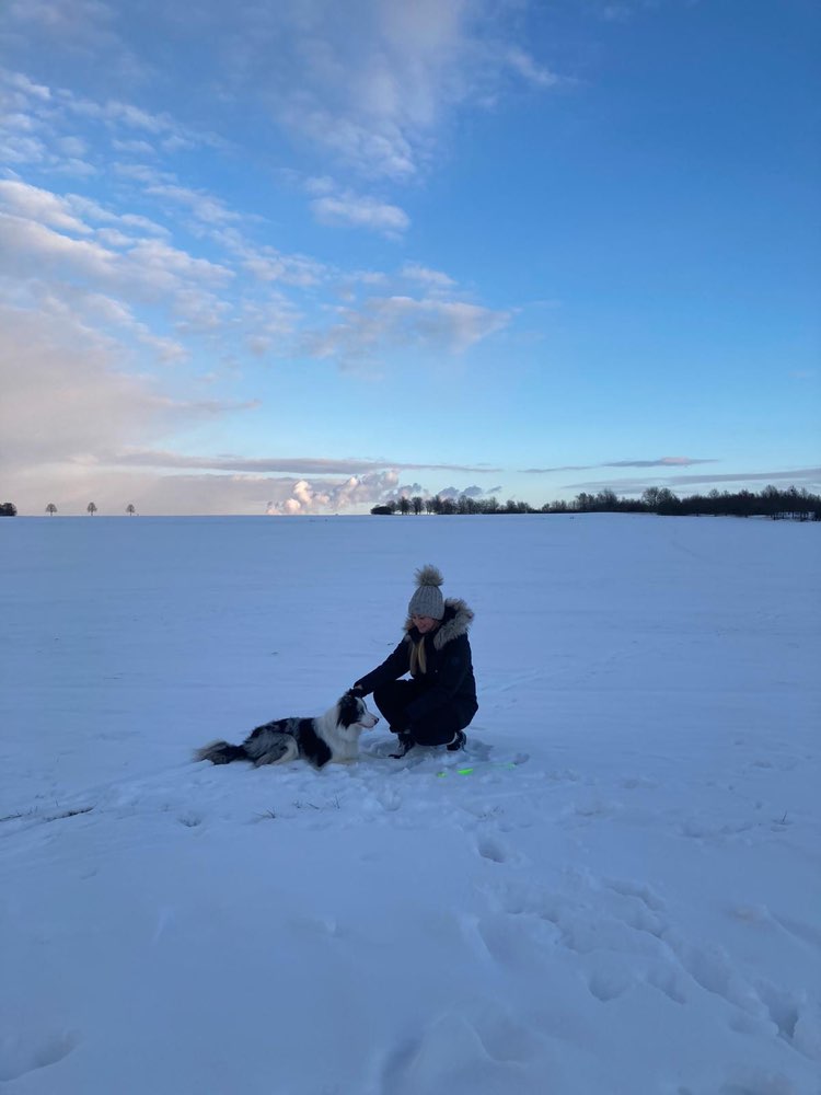 Hundetreffen-Hundekumpel/ine für gelegentliche Gassirunde gesucht-Profilbild