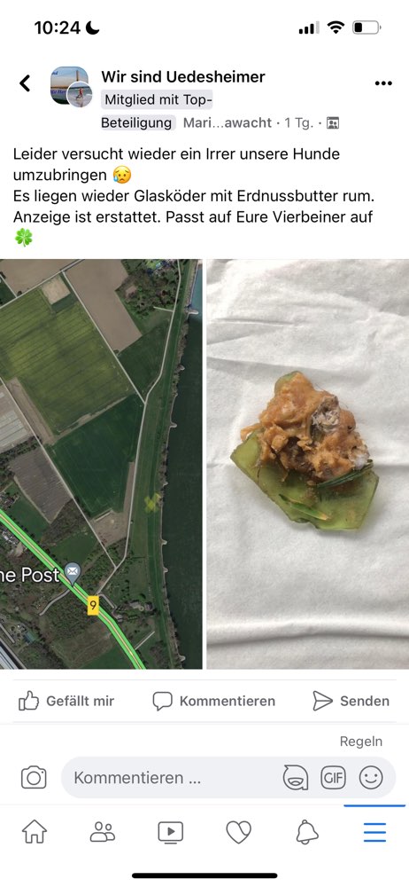 Giftköder-Giftköder-Profilbild