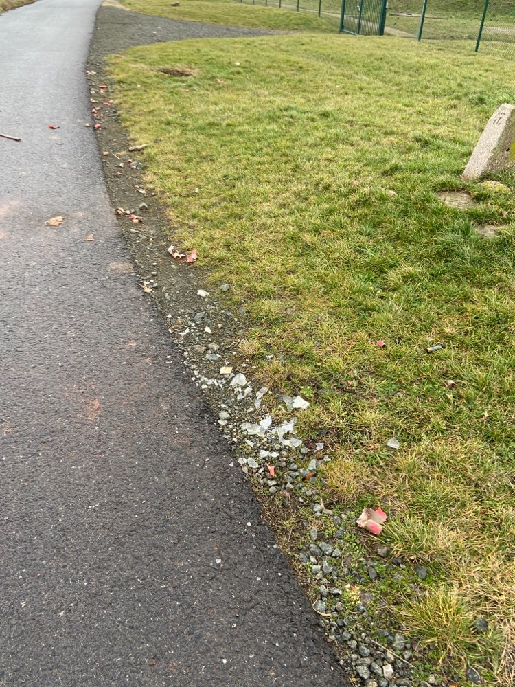 Giftköder-Glasscherben und Böllerreste-Profilbild