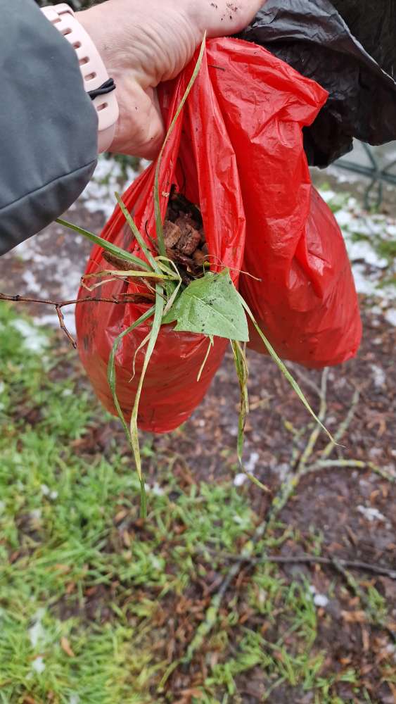 Giftköder-Große Menge Futter-Profilbild