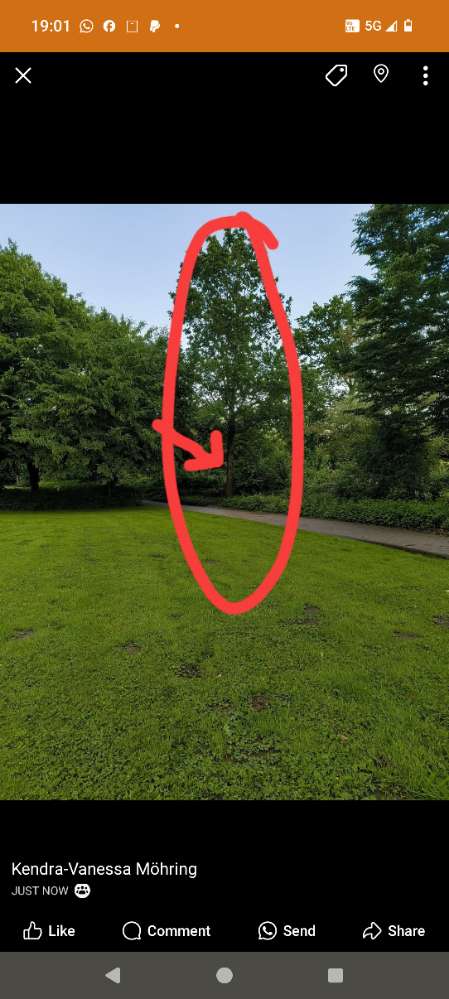 Giftköder-Eichenprozessionsspinner !!-Profilbild