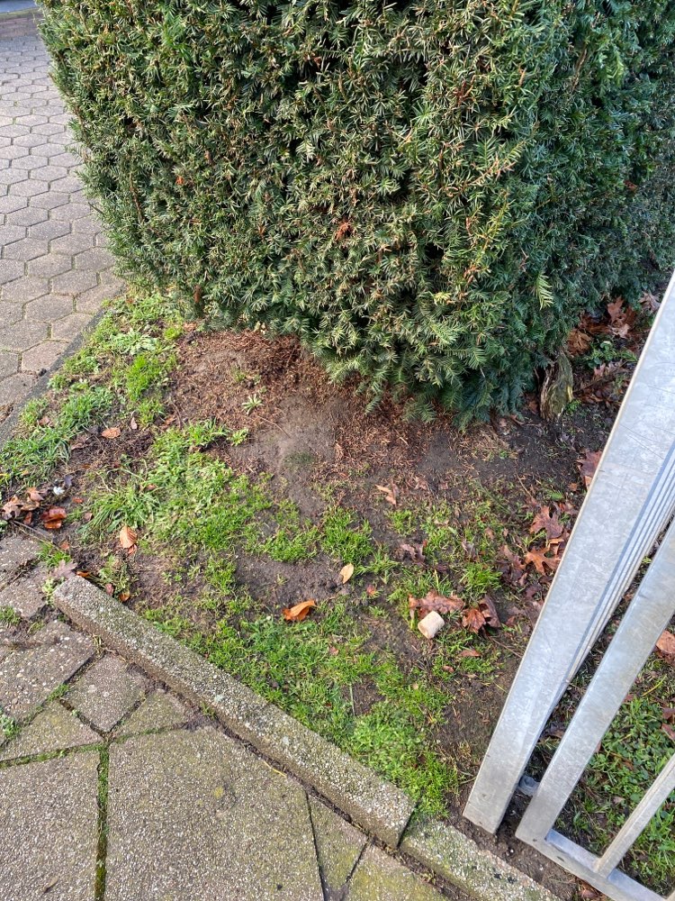 Giftköder-Knochen-Profilbild