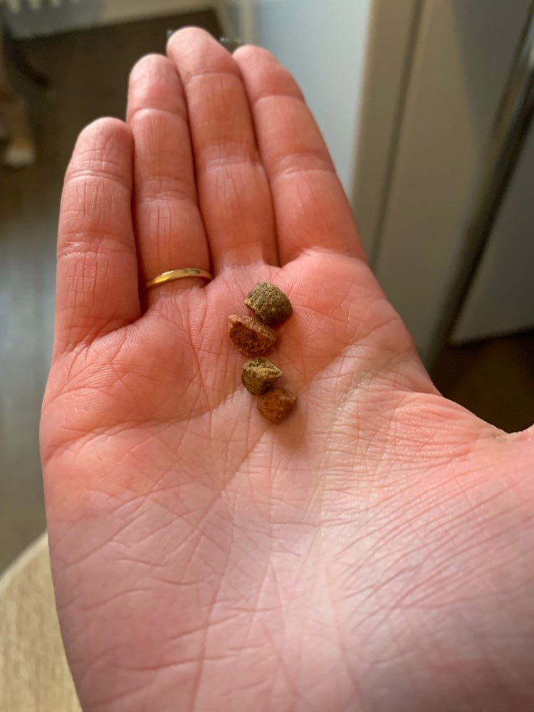 Giftköder-Möglicher Giftköder/Leckerlis-Profilbild