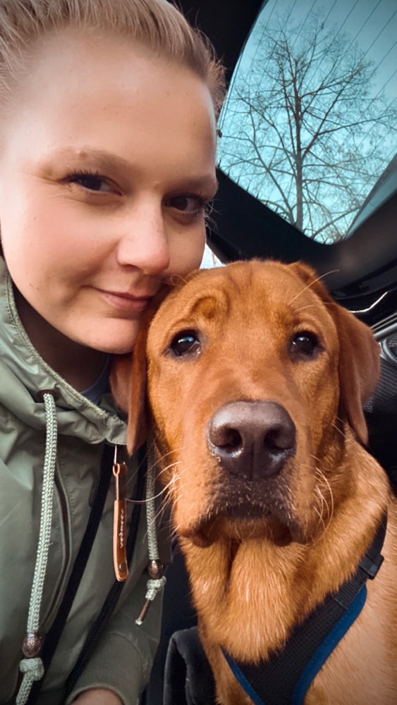 Hundetreffen-Wir suchen neue Hundefreunde🐾-Profilbild