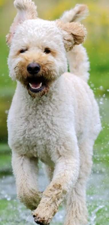 Suchmeldung-Mandy-Profilbild