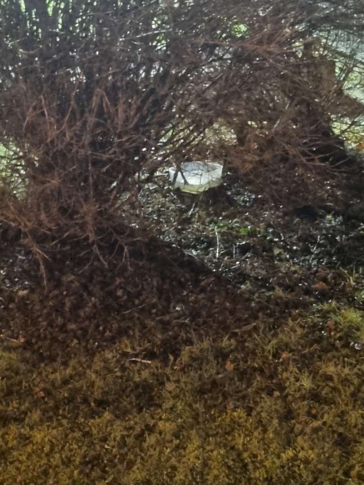 Giftköder-Napf mit flüsdigkeit-Profilbild