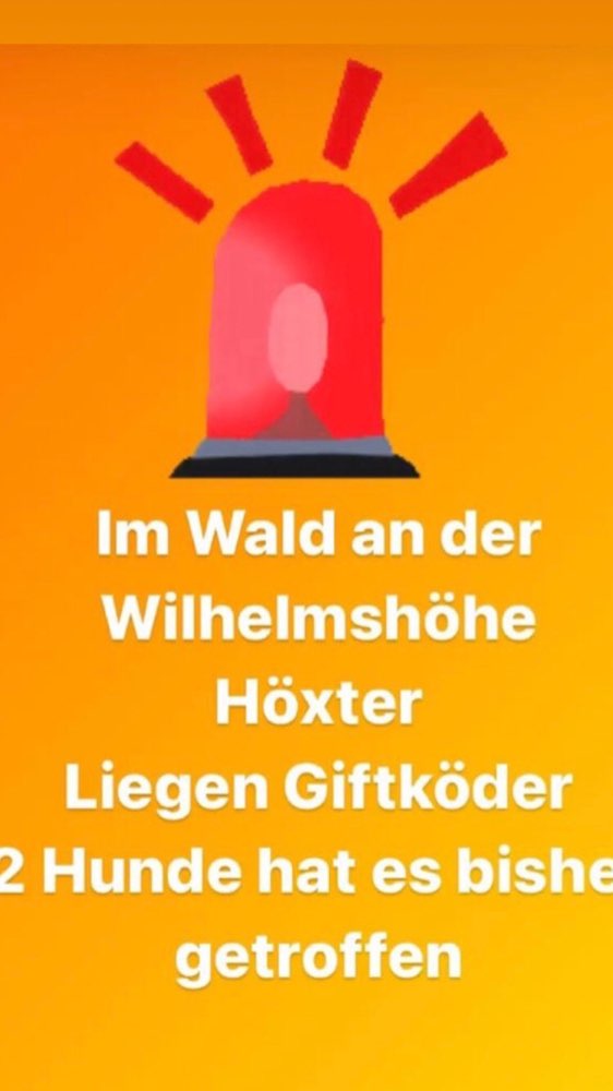 Giftköder-Giftköder-Profilbild
