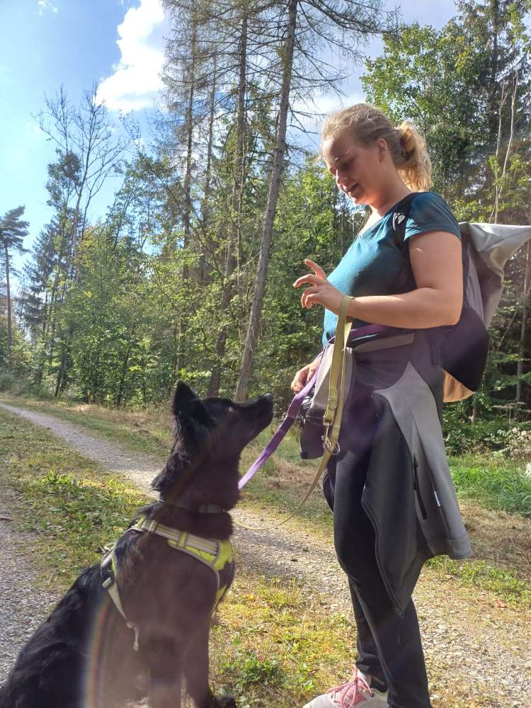 Hundetreffen-Treffe Bella-Profilbild