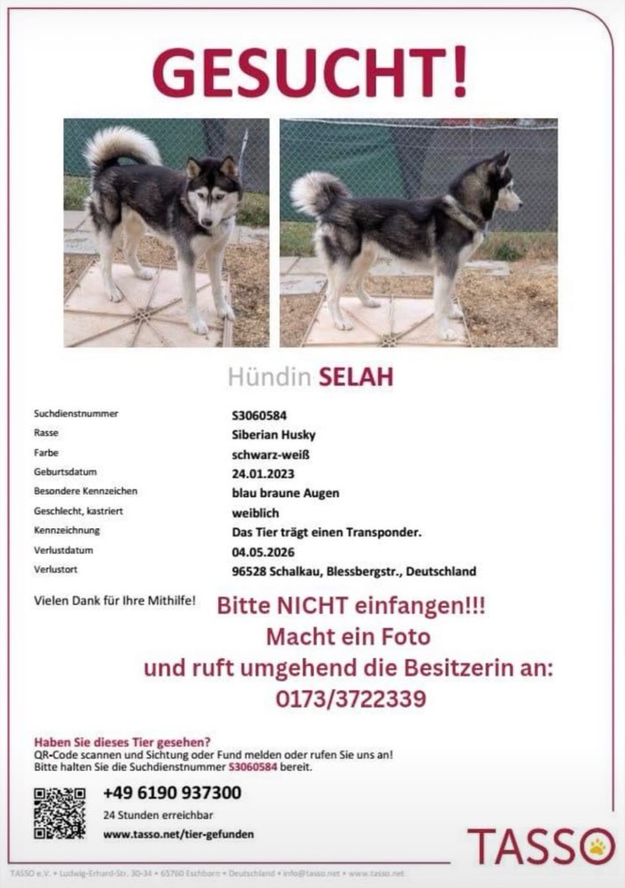Suchmeldung-Selah-Profilbild