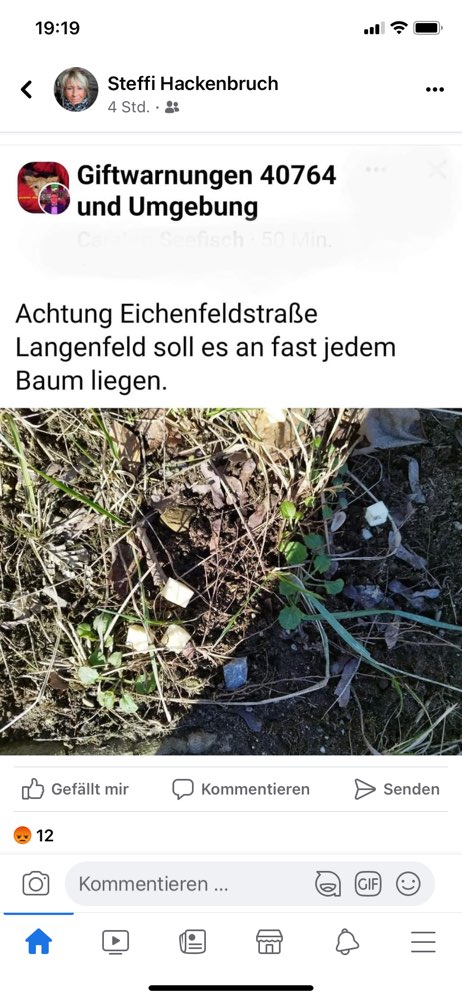 Giftköder-Giftköder-Profilbild