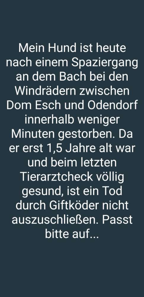 Giftköder-Giftköder zwischen Dom Esch und Odendorf-Profilbild
