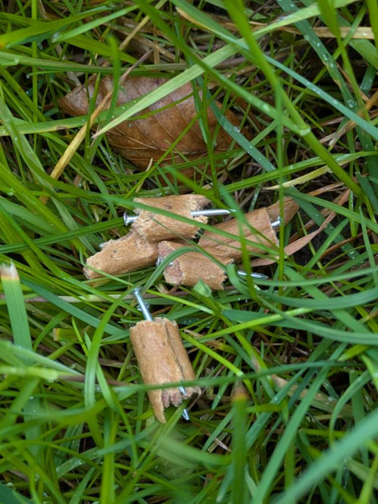 Giftköder-Fressköder mit Nägeln im Schattbachpark-Profilbild