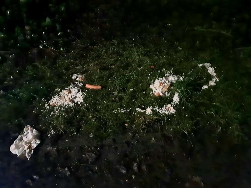 Giftköder-Essensreste auf dem Grünstreifen-Profilbild