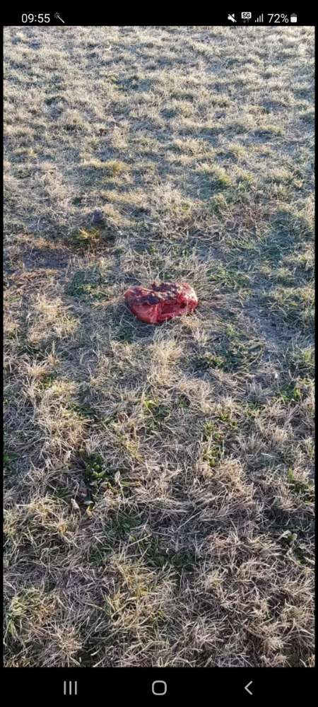 Giftköder-Tier Kadaver-Profilbild