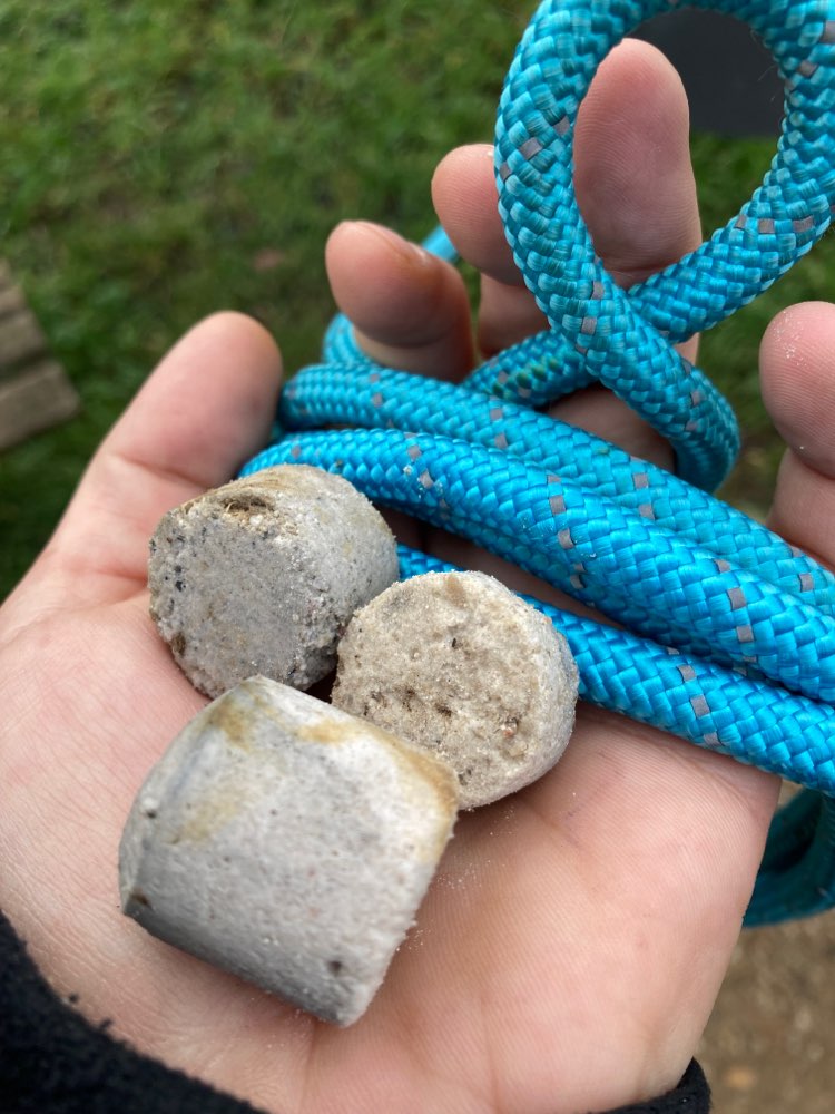 Giftköder-Möglicherweise Giftköder in Rudow-Profilbild