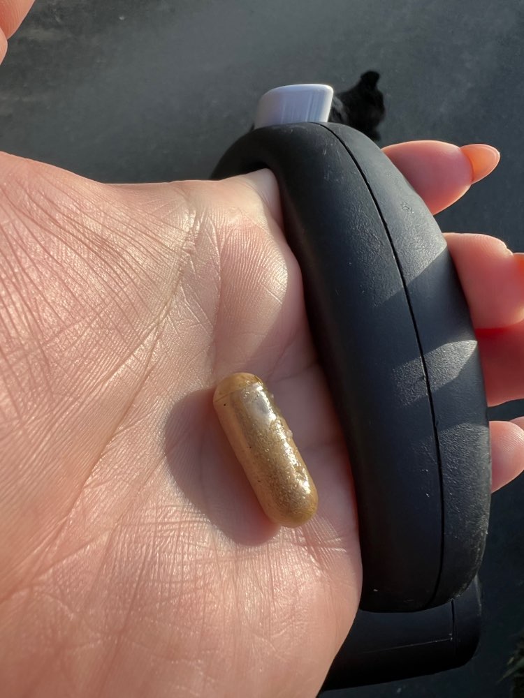 Giftköder-Eventueller Giftköder-Profilbild