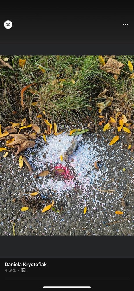 Giftköder-Giftköder-Profilbild