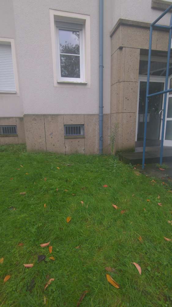 Giftköder-Weiße Kügelchen unterm Fenster-Profilbild