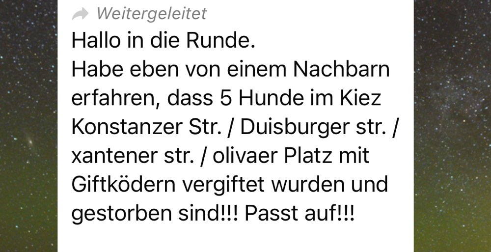Giftköder-Giftköder-Profilbild