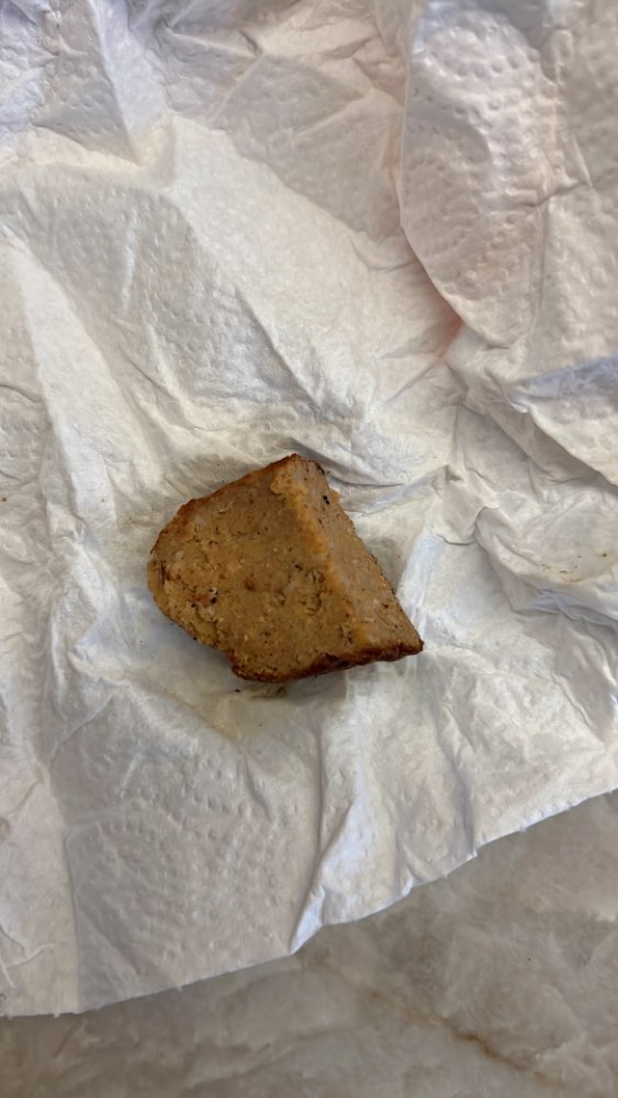 Giftköder-Frikadellen Stücke um Mülleimer herum-Profilbild