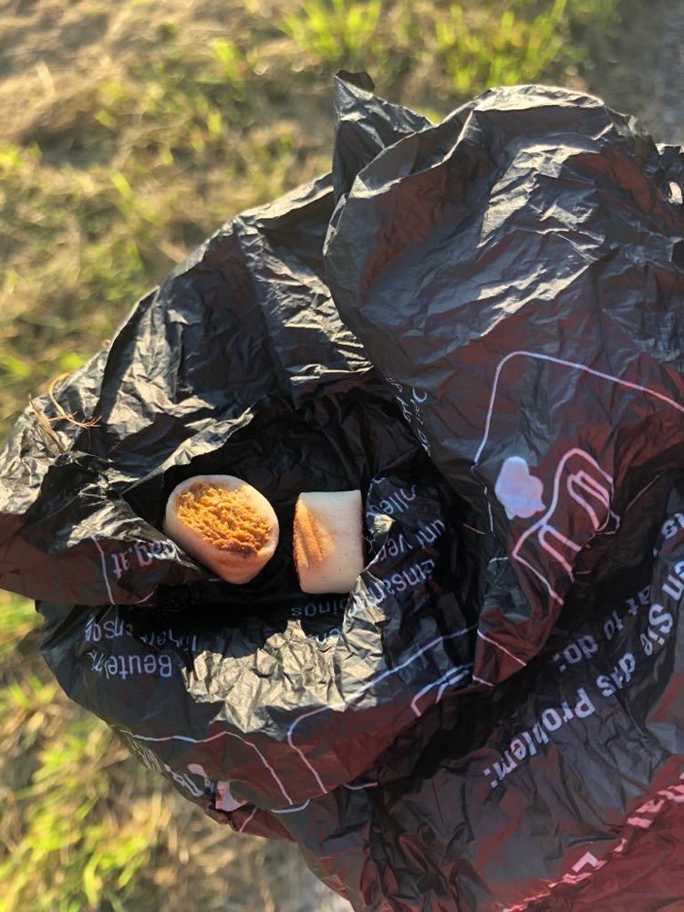 Giftköder-Eventuell Giftköder-Profilbild