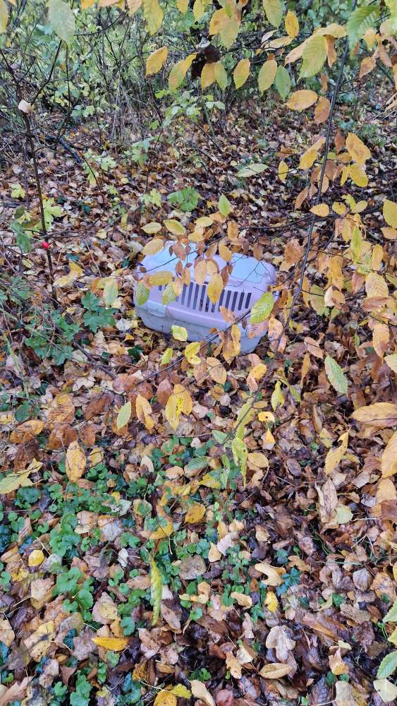 Giftköder-Transportbox-Profilbild