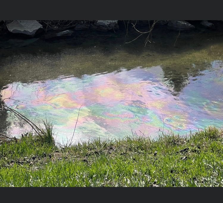 Giftköder-Verunreinigung Liesingbach-Profilbild