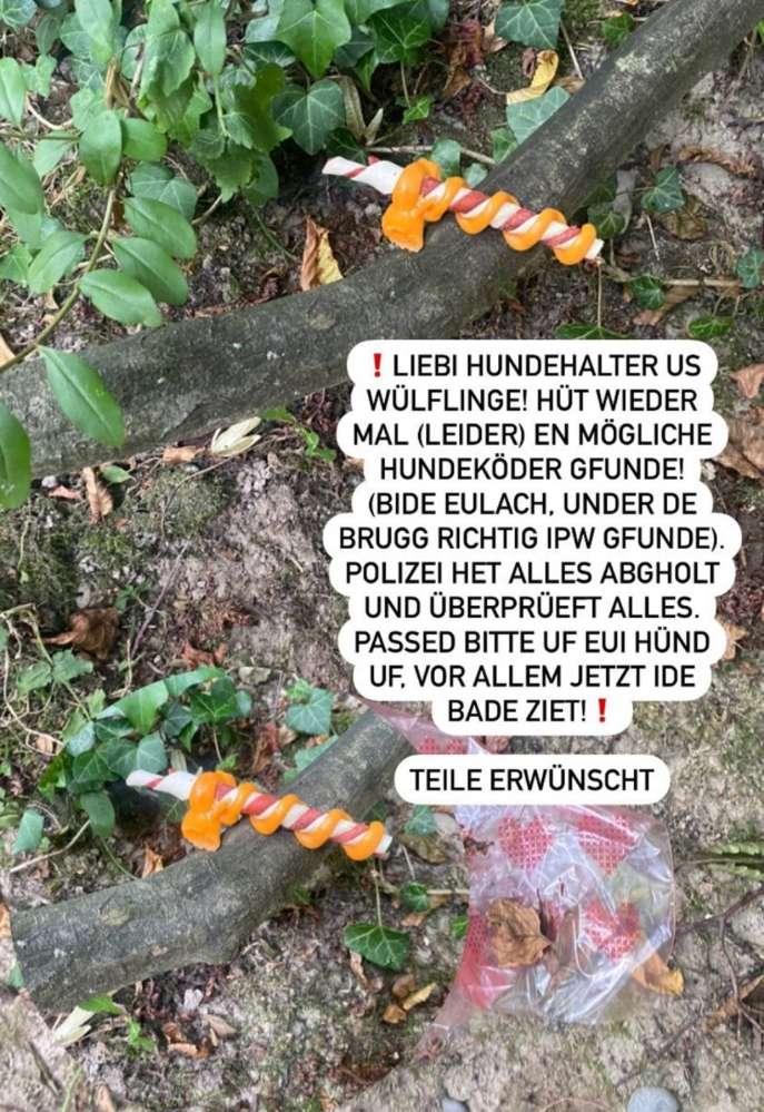 Giftköder-Evtl. Giftköder-Profilbild