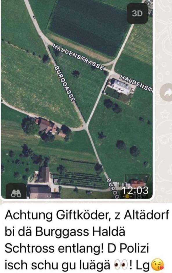Giftköder-Giftköder-Profilbild